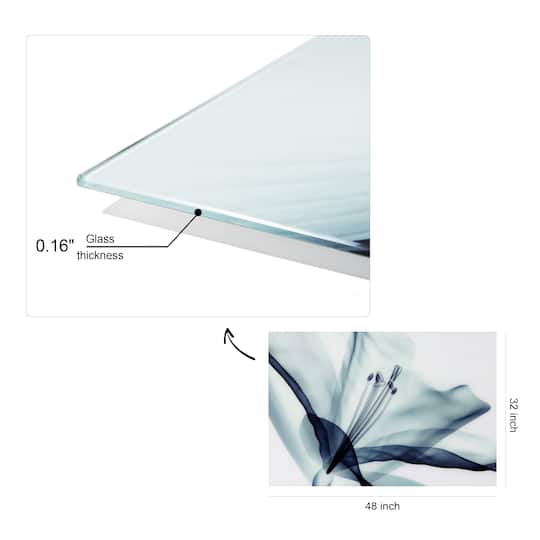 Empire Art Direct 32" x 48" 3D Amaryllis Frameless Free Floating Printed Wall Art